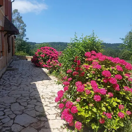 Maison Des Hortensias A 500 M Des Bords De Riviere * Limeuil
